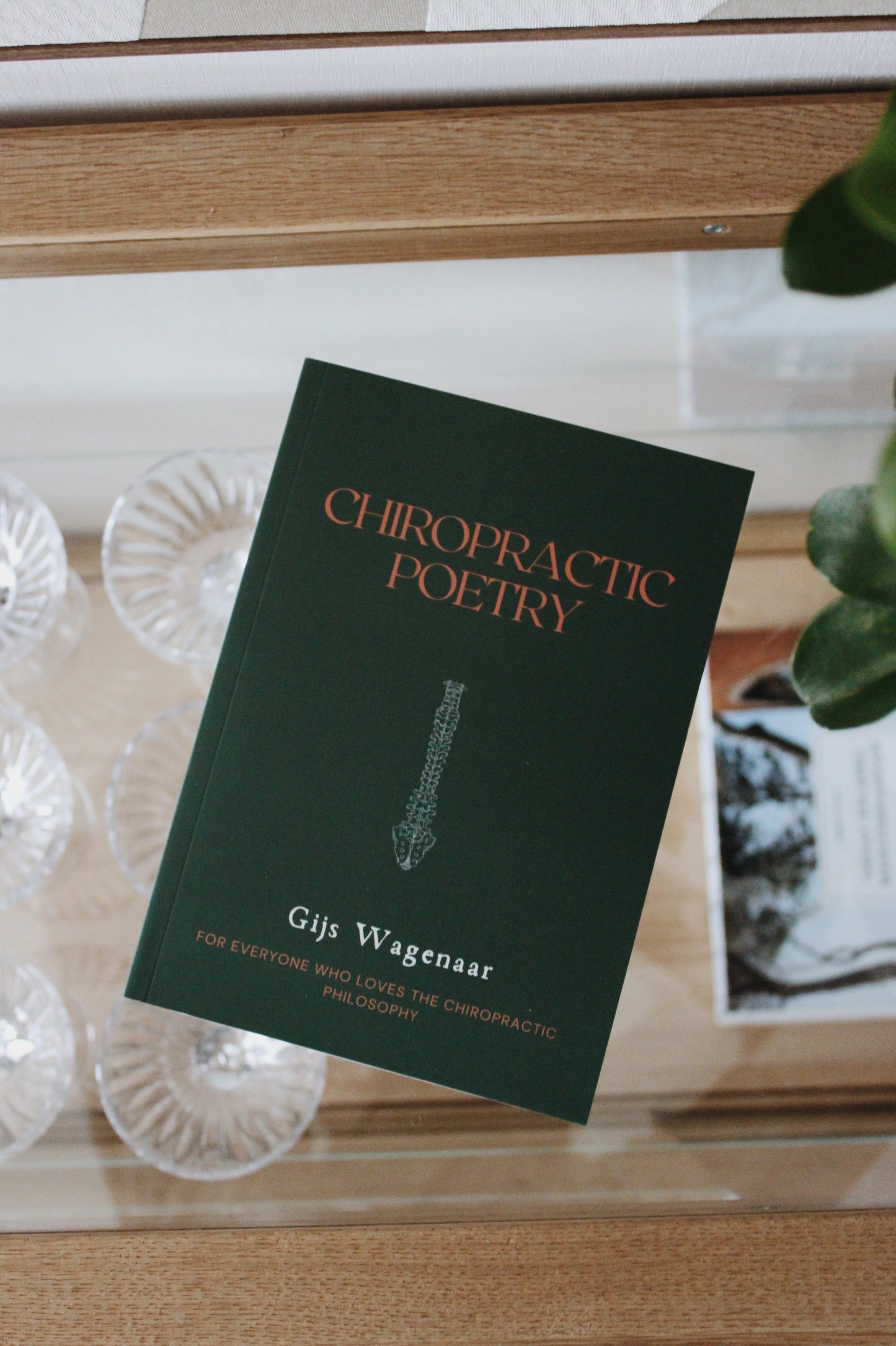 Chiropractic Poetry Book